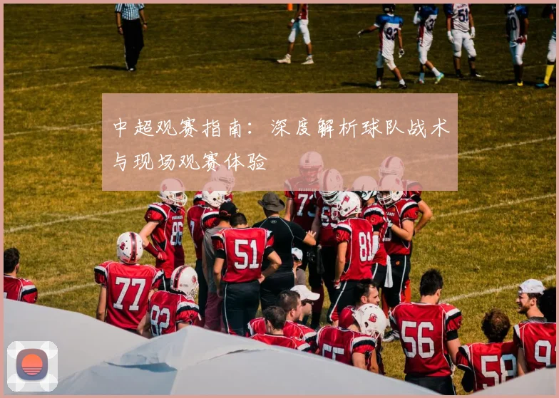 中超观赛指南:深度解析球队战术与现场观赛体验